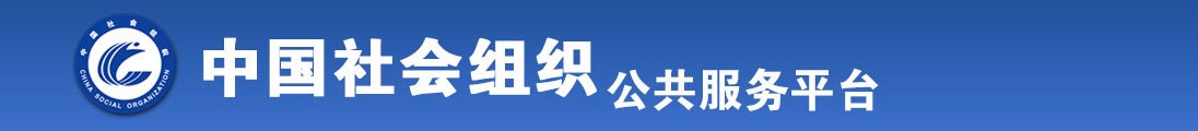 www·欧美大骚屄·com全国社会组织信息查询